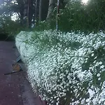 Vallibierna 베나스크