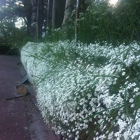 Vallibierna Benasque